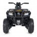 Детский квадроцикл Bambi M 4868EL-2-6(24V)