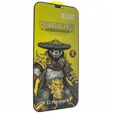Захисне скло PRIVACY NEW ESD APPLE iPhone 12 PRO MAX 6,7